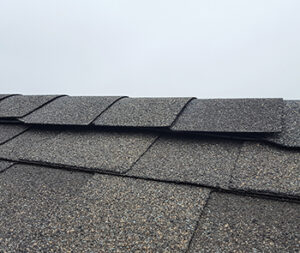Ridge Vent (rolled vent with shingle overlay)