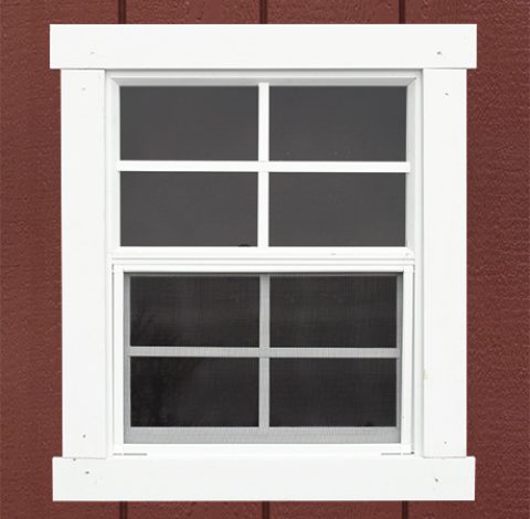 Window 18 x 23